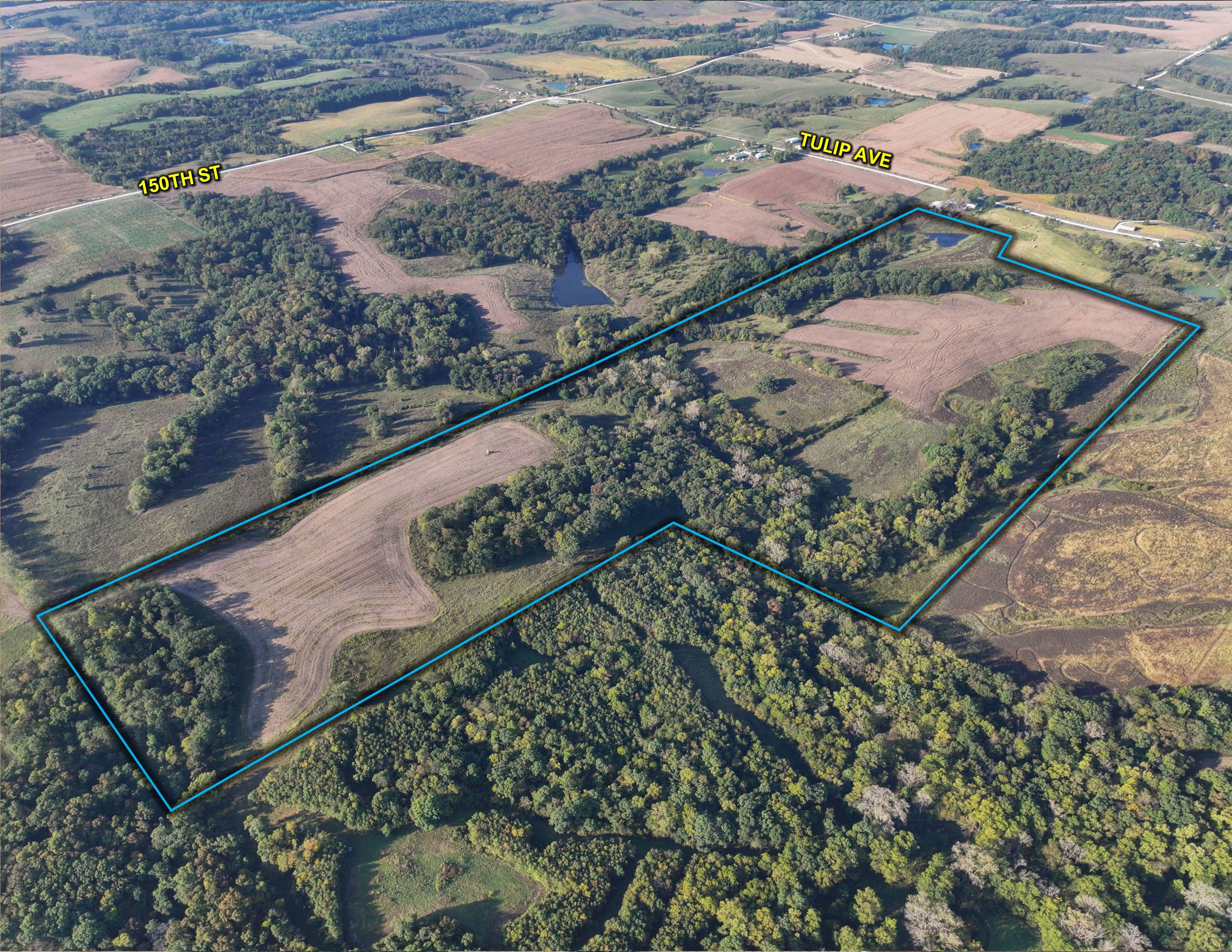 Listing Photo: Edit Wolfe 8